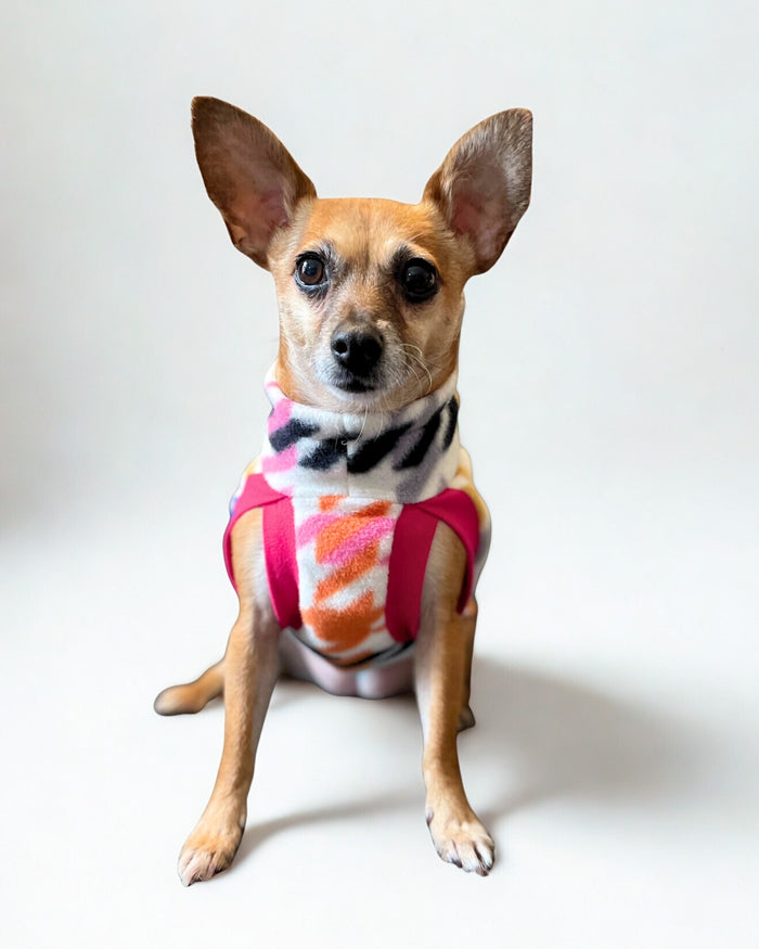 Multicolored Houndstooth fleece dog sweater on chihuahua, sitting