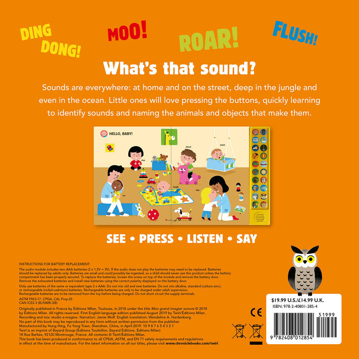 My Big Book Of Sounds