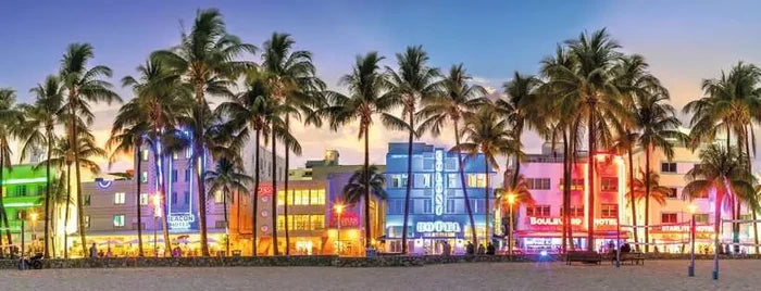 Night Glow on Ocean Drive 1000pc Puzzle