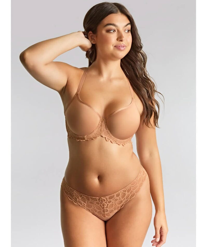 Panache Allure Underwired Spacer Bra - Honey Bras