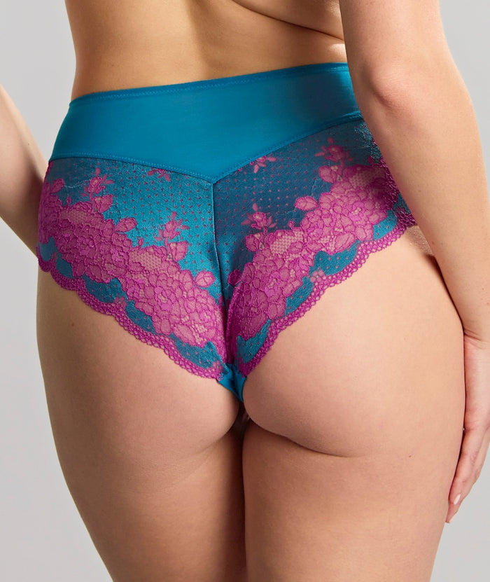 Panache Clara Deep Brief - Teal/Magenta