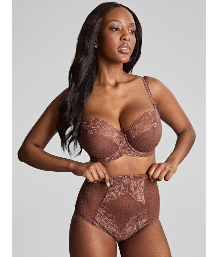 Panache Envy Shaping Brief - Chestnut Knickers
