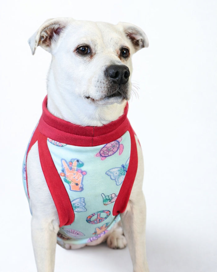 Pastel Ocean Icons cotton-spandex dog pajamas on white dog, sitting close-up