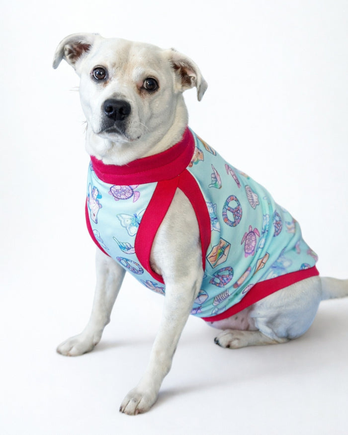 Pastel Ocean Icons cotton-spandex dog pajamas with fuchsia trim on white dog, sitting side view