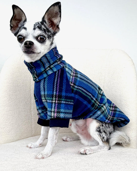 Peacock royal blue fleece dog sweater on small white dog, side view sitting