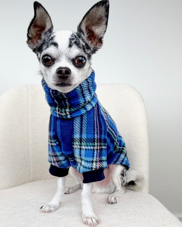Peacock royal blue fleece dog sweater on chihuahua, sitting