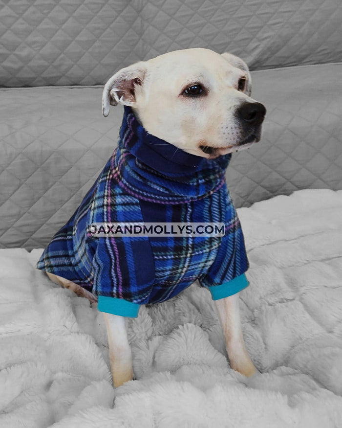 Peacock royal blue fleece dog sweater on white dog, sitting