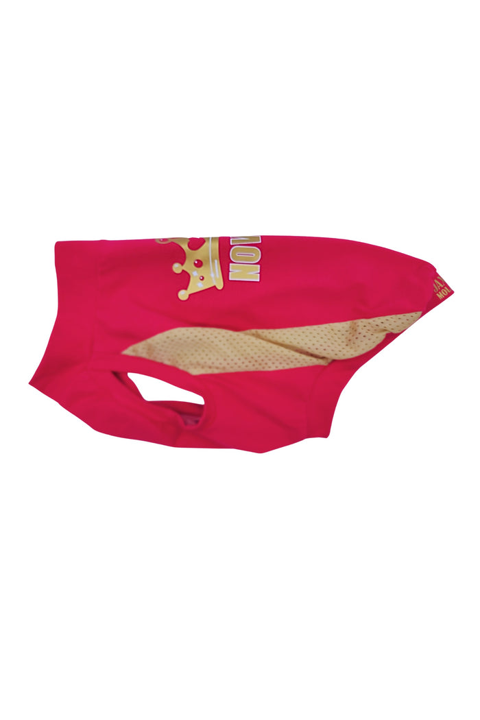 Personalized Queen Dog Shirt back view – custom pink dog jersey with crown graphic and dog name
