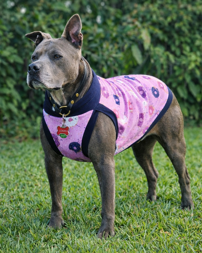 Pink Frosted Donut cotton-spandex dog pajamas on Pitbull, standing