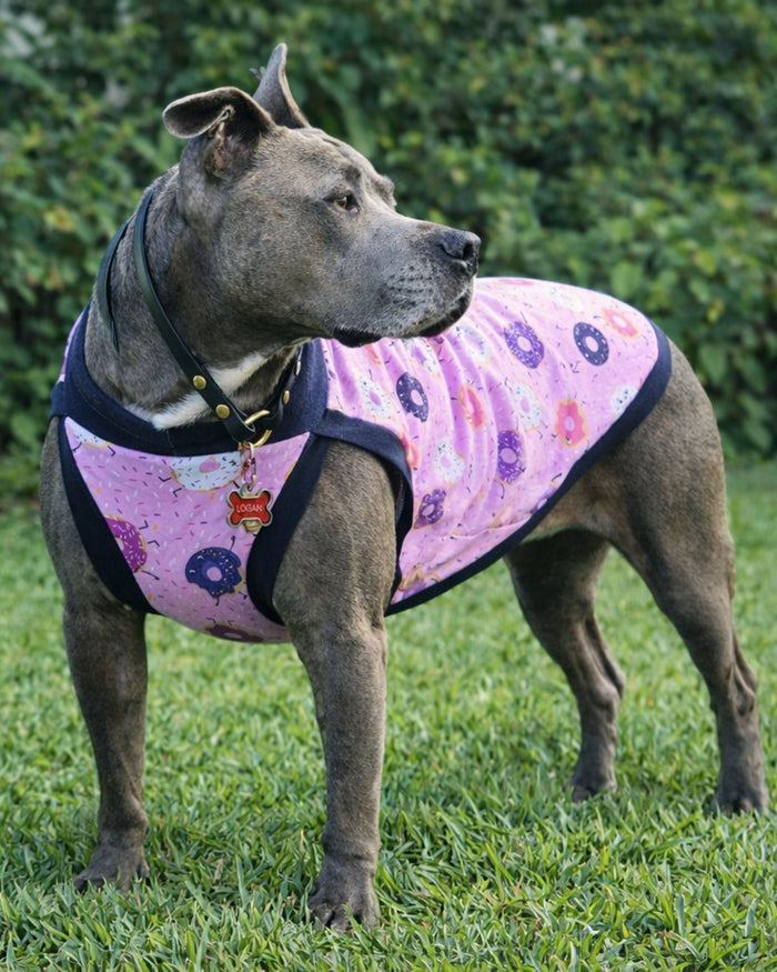 Pink Frosted Donut cotton-spandex dog pajamas on Pitbull, standing and looking to the side