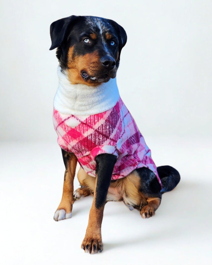 Pink plaid fleece dog sweater with sherpa turtleneck on Rottweiler, sitting side view