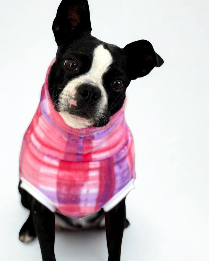 Small dog wearing a cozy pink fleece pullover sweater