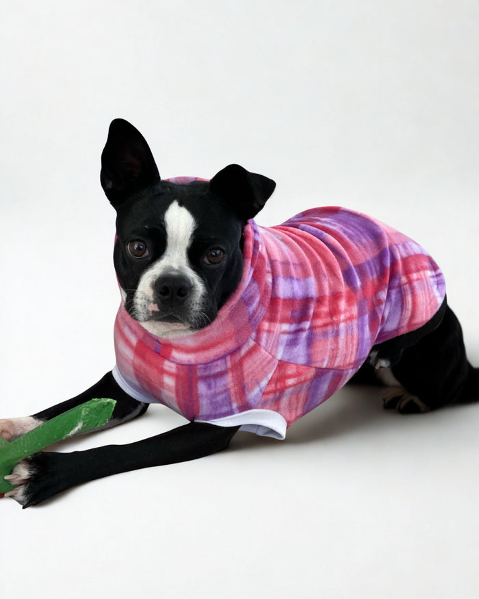 Cute dog in pink and purple fleece dog sweater