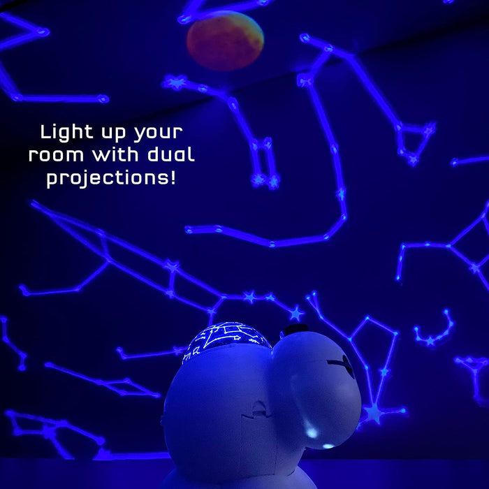 Planetarium Projector