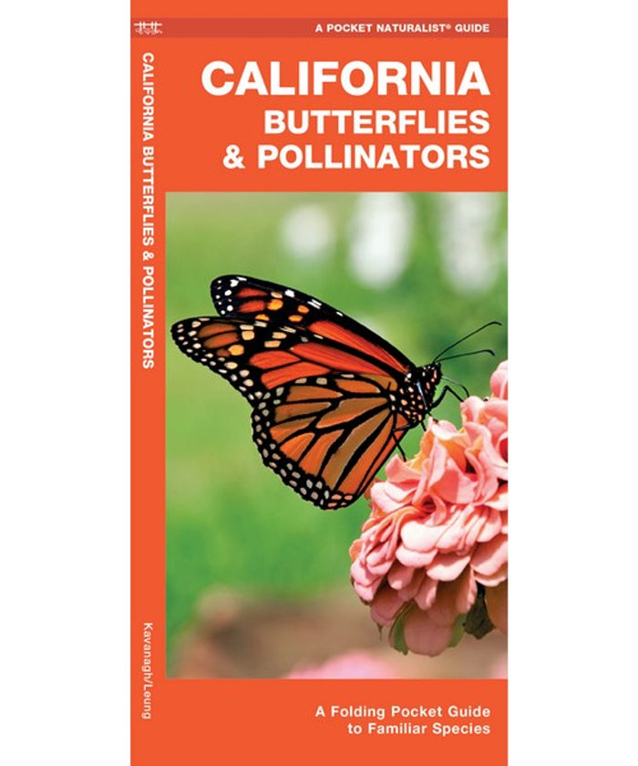 California Butterflies and Pollinators