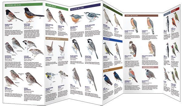 Backyard Birds of Western North America