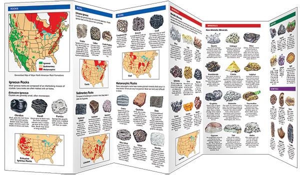 Pocket Naturalist Guides