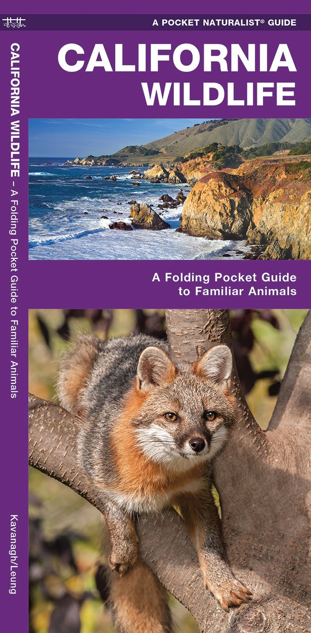 Pocket Naturalist Guides