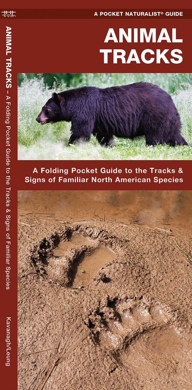 Pocket Naturalist Guides