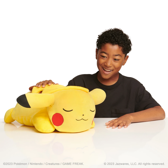 Pokemon Plush Sleeping Assortment