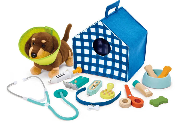 Toy dog with veterinary tools and accessories on a white background