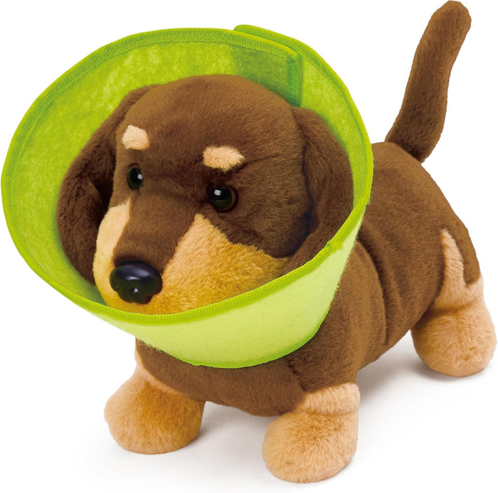 Plush dachshund toy wearing a green cone of shame on a white background