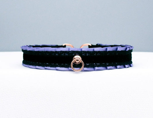 Purple Haze and Black Velvet Collar