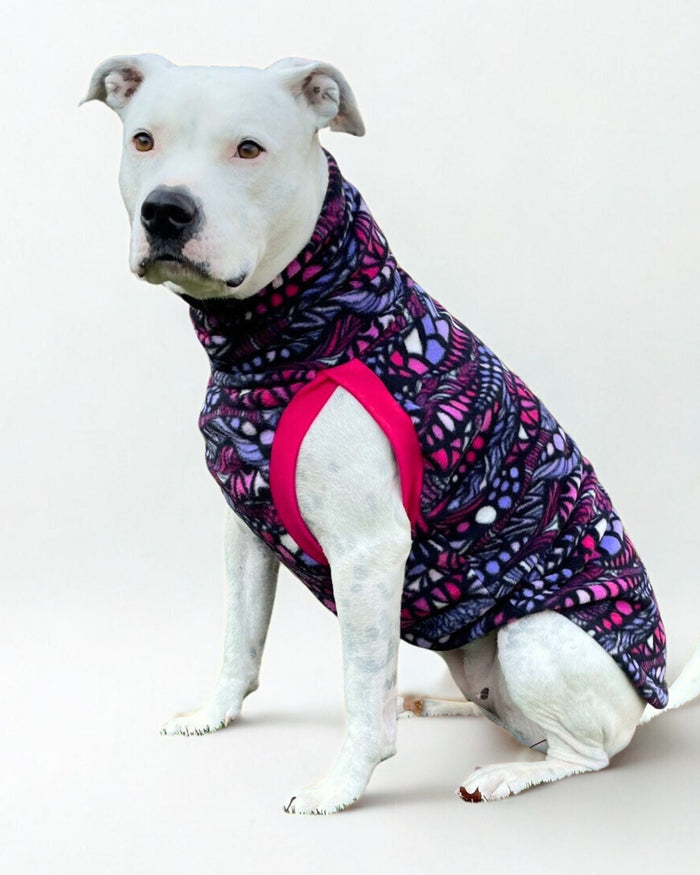 Dog poses in a fleece purple and pink dog sweater