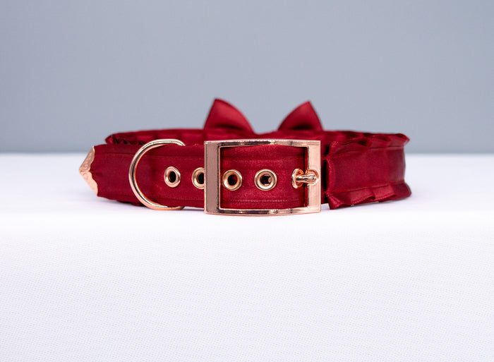 Red and Rose Gold Collar and Leash Set