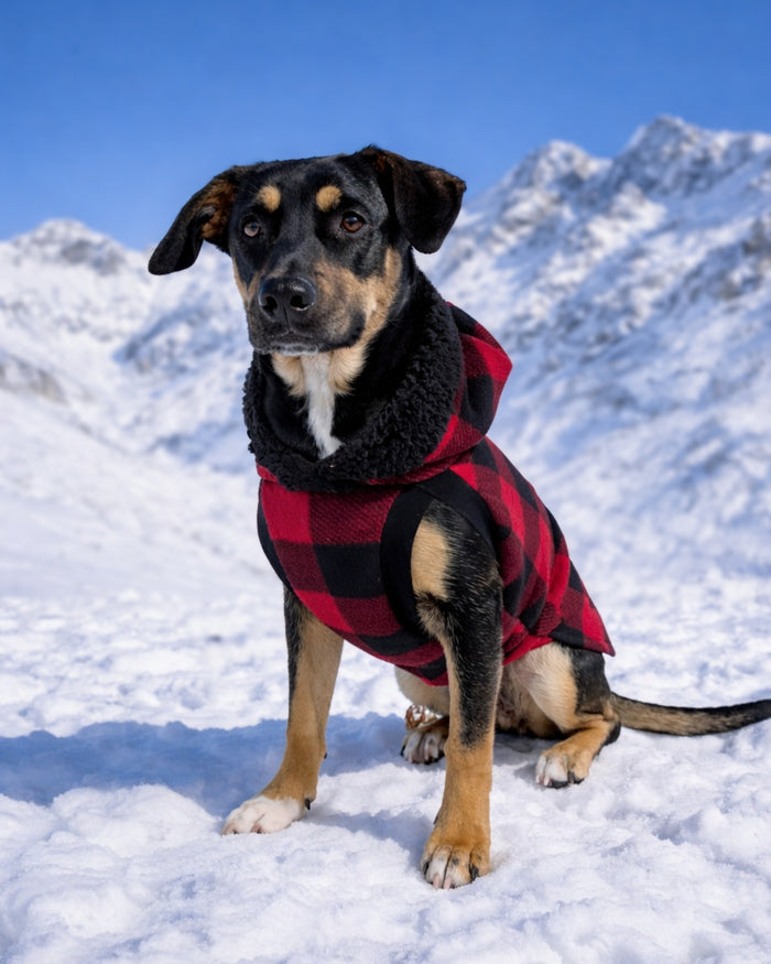 Red buffalo plaid fleece dog sweater with black sherpa-trim hood on dog, front view sitting with snow-covered mountain in background