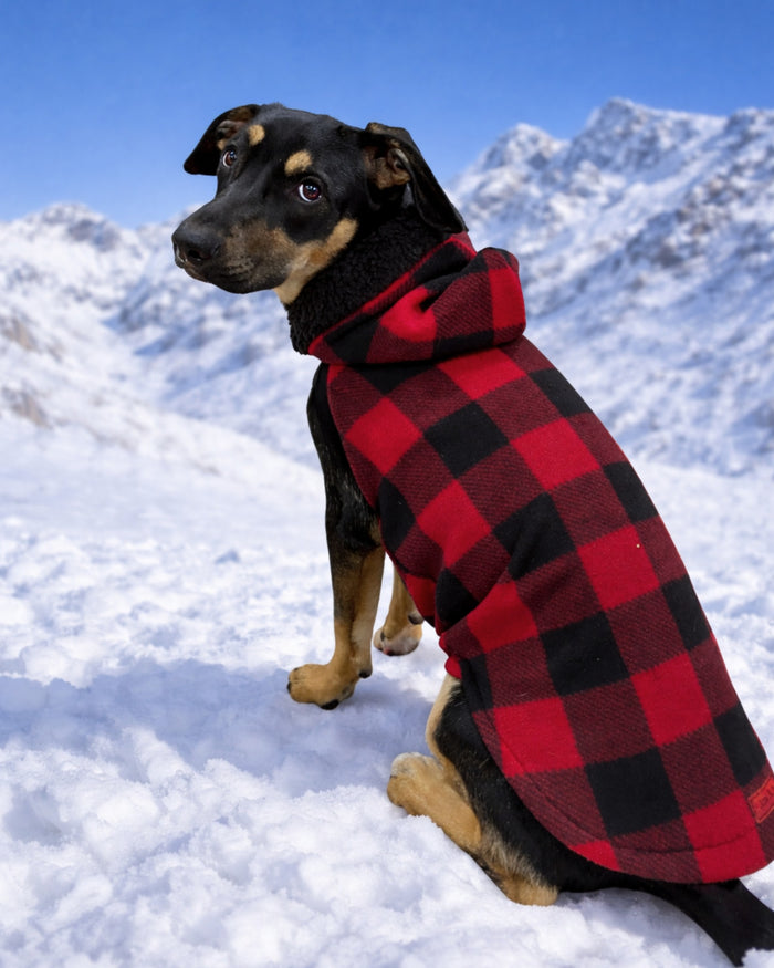 Red buffalo plaid fleece dog sweater with black sherpa-trim hood on dog, back view sitting with snow-covered mountain in background