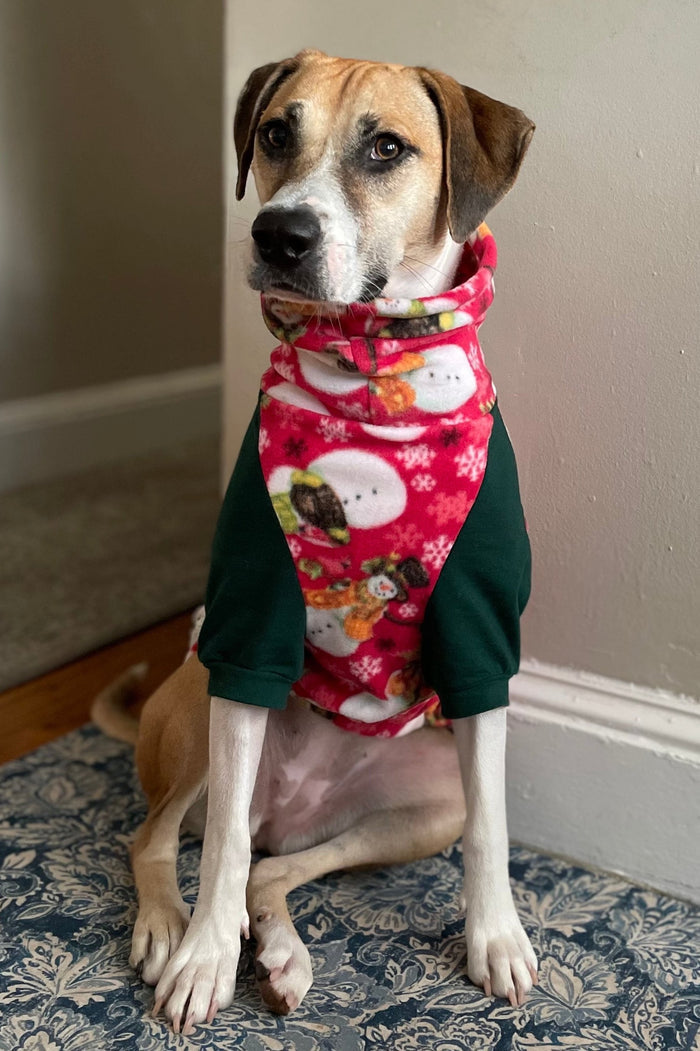 Dog wearing a red raglan sweater with green sleeves and a snowman print with snowflake accents.