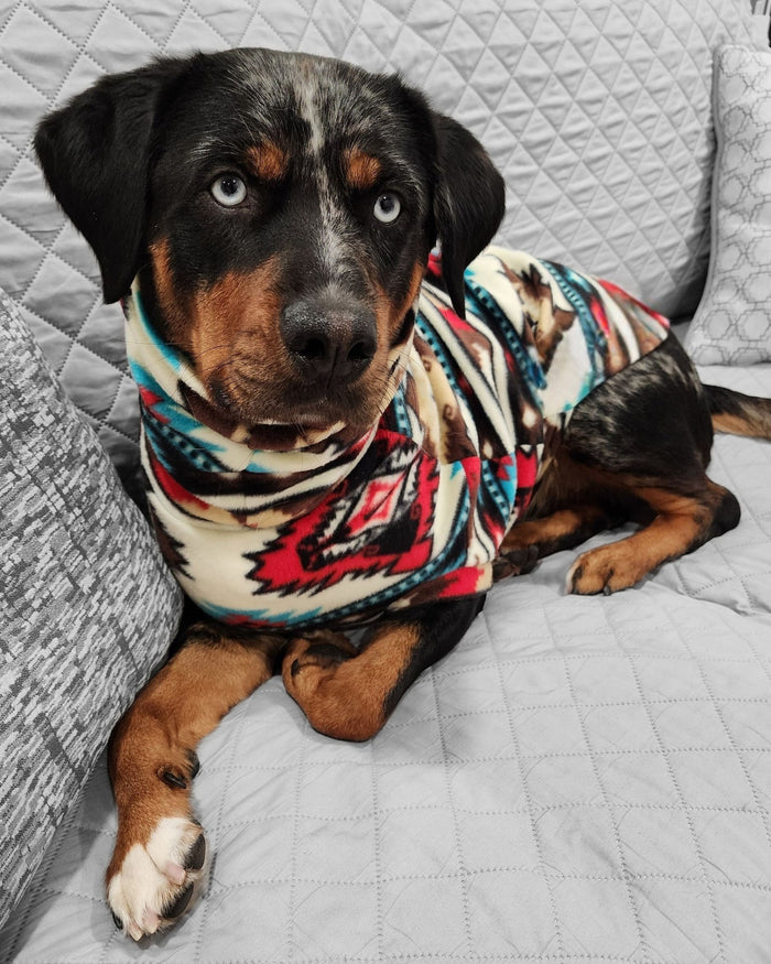 A stunning Rottweiler showcases Jax & Molly's Red Tribal Aztec Dog Sweater made from Aztec-patterned fleece.