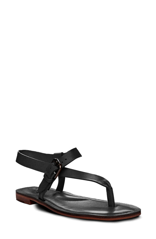 Roma Golo Shoes