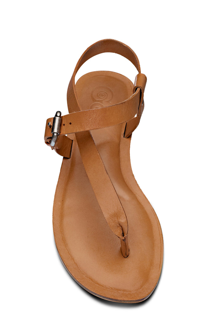 ROMA Golo Shoes