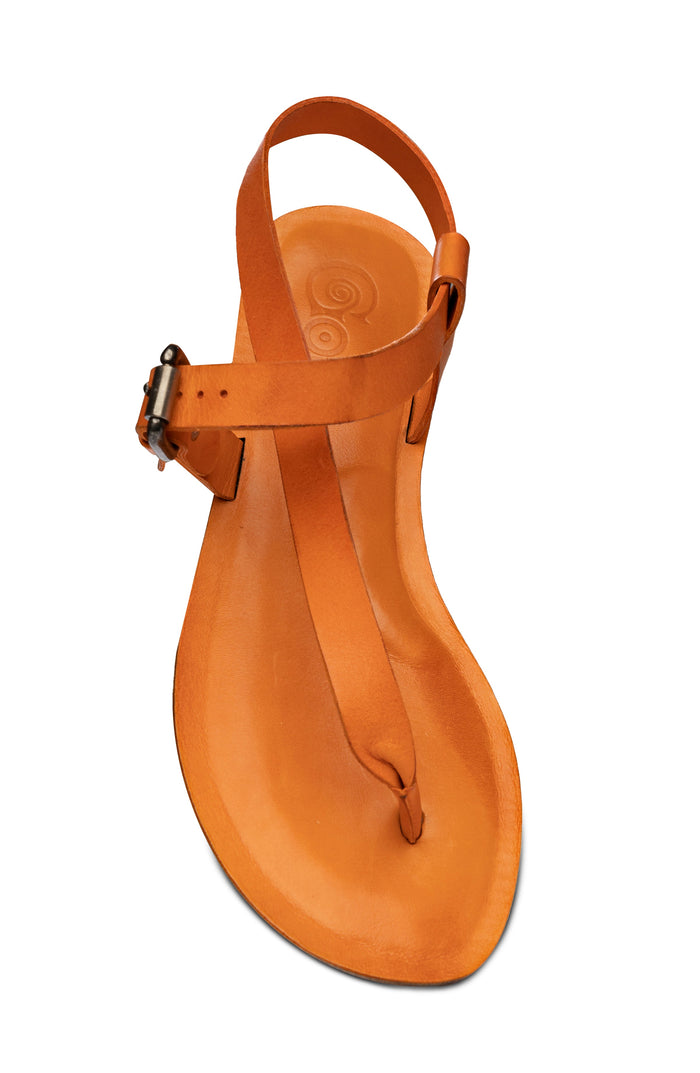 ROMA Golo Shoes