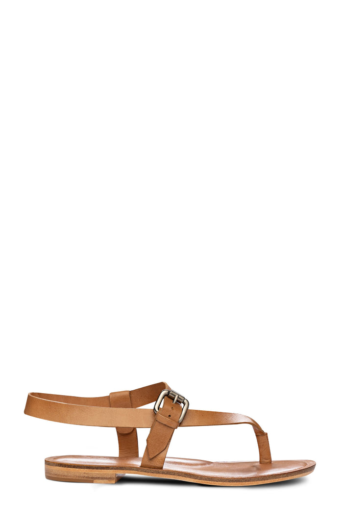 ROMA Golo Shoes