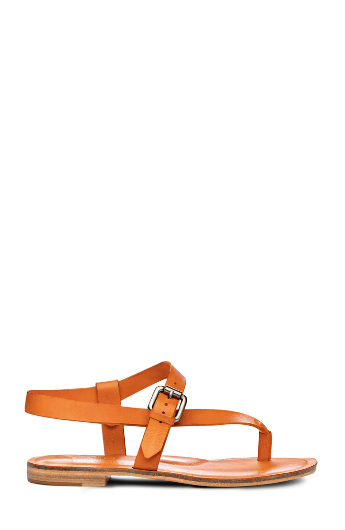 ROMA Golo Shoes