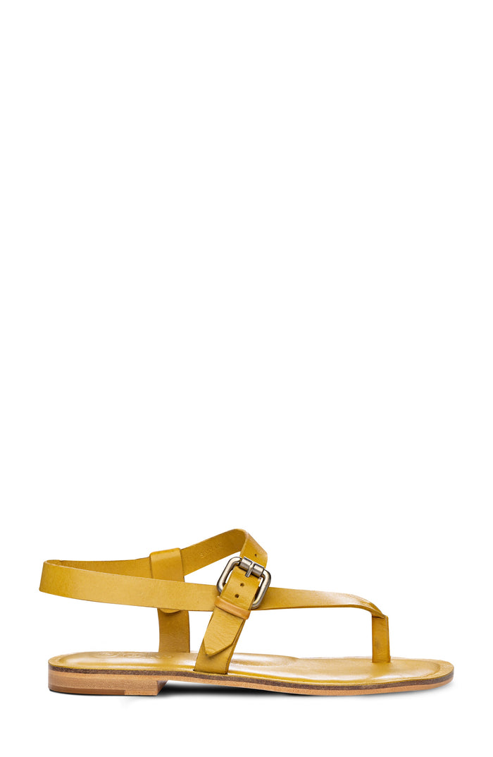 ROMA Golo Shoes
