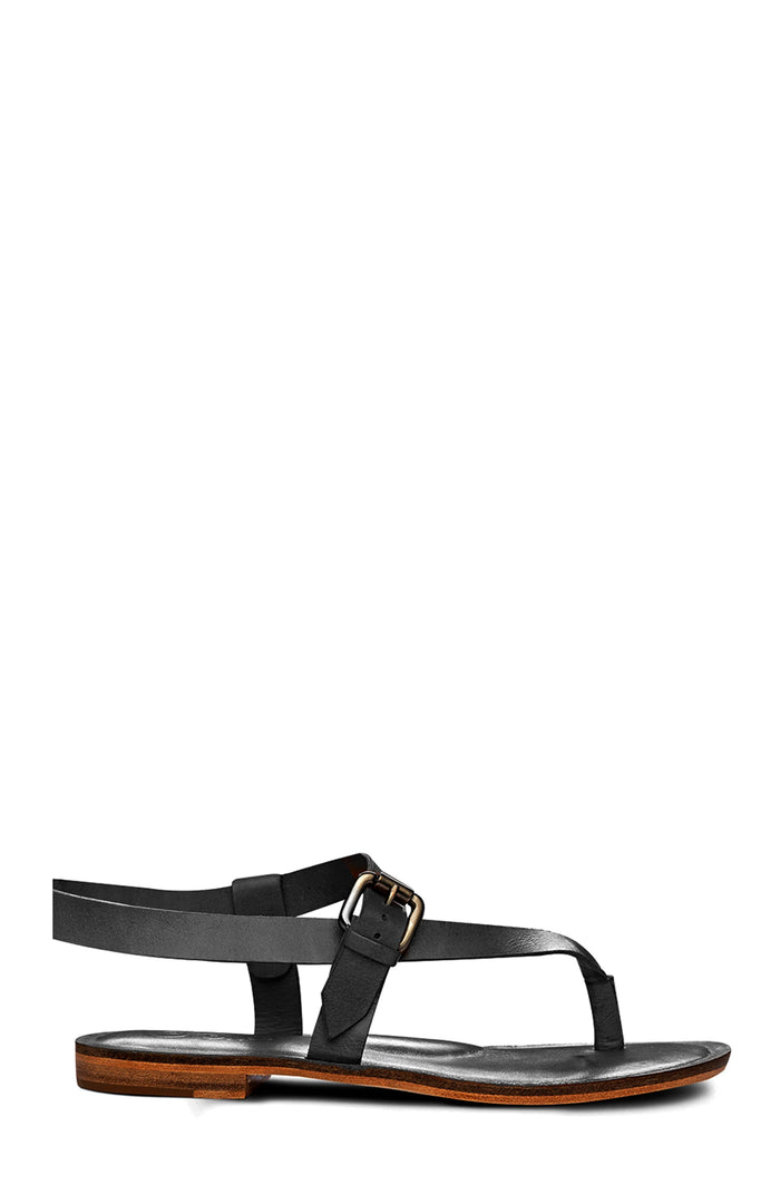 Roma Golo Shoes