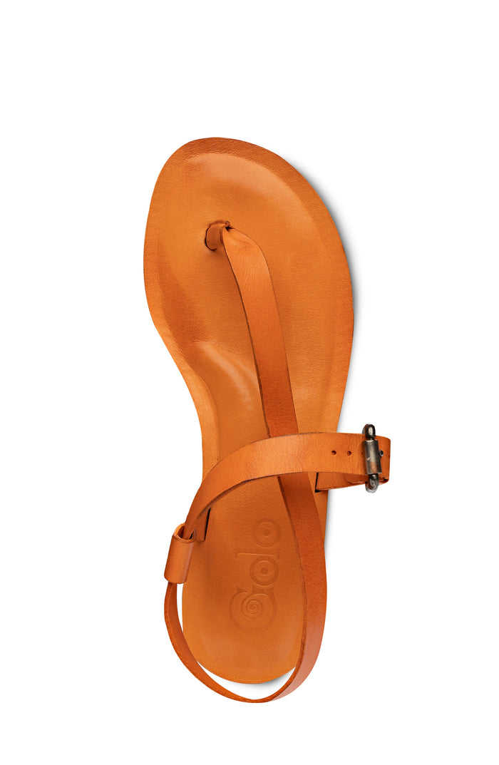 ROMA Golo Shoes