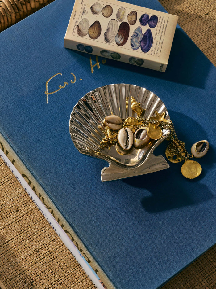 A silver scallop shell-shaped jewelry stand holding gold-toned jewelry and cowrie shells, styled on a blue book with a shell specimen box in the background.