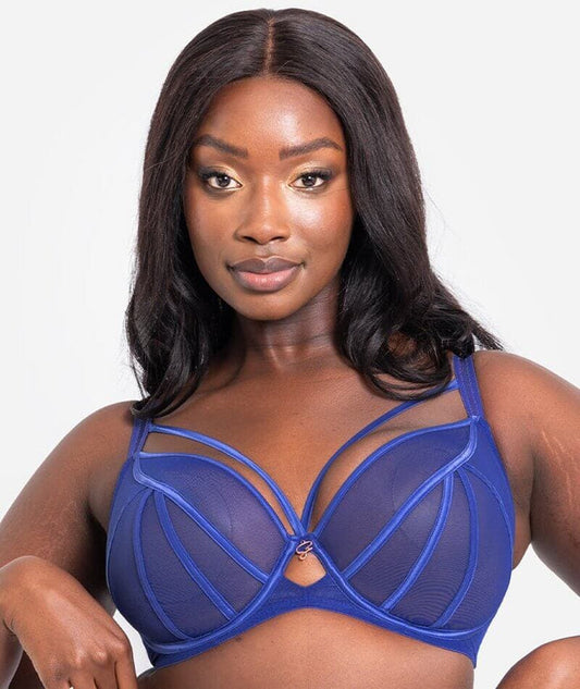 Scantilly Senses Plunge Bra Ultraviolet Bras