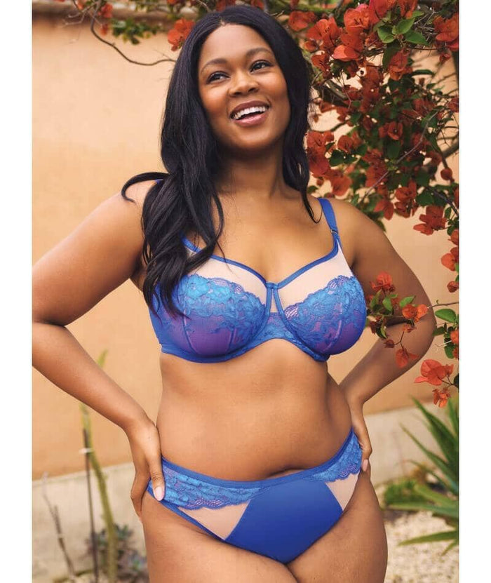 Sculptresse Josephine Full Cup Underwired Bra - Cobalt / Latte Bras