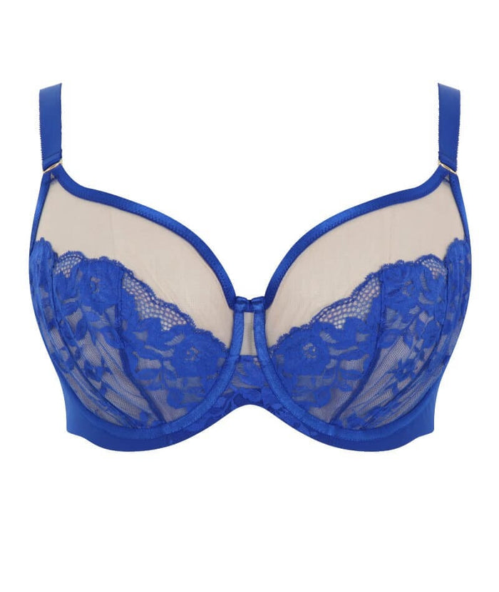 Sculptresse Josephine Full Cup Underwired Bra - Cobalt / Latte Bras