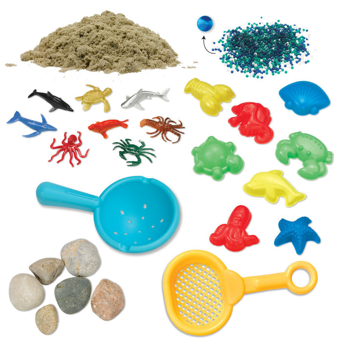 Contents of a beach theme Sensory Bin on a white background