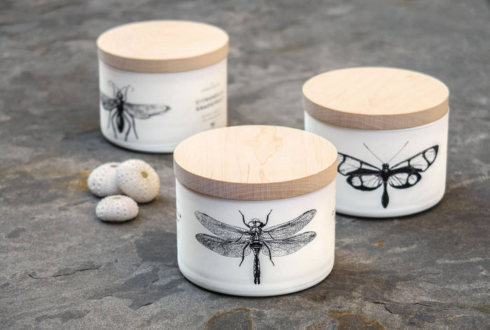 SKEEM | Citronella 3 - Wick Candle: Sea Salt - SKEEM - Living with Ivey