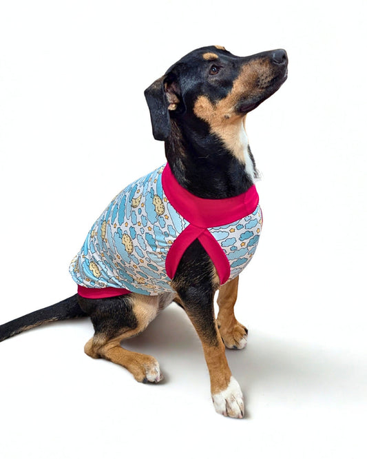 Sleepy Moon lightweight dog pajamas with moon and cloud print and fuchsia trim on black dog, sitting