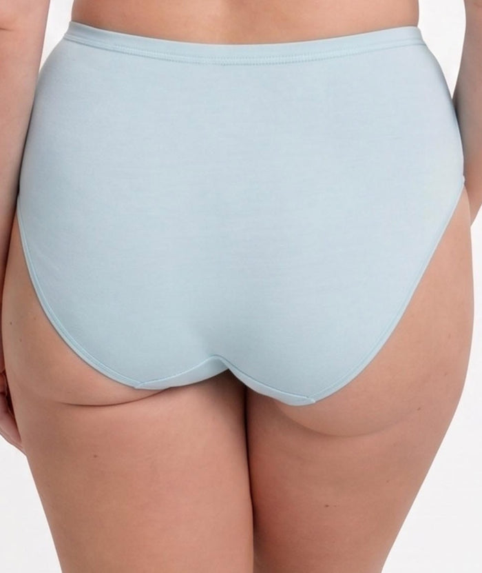 Sloggi Maxi 2 Pack Brief - Pure Blue/Lilac