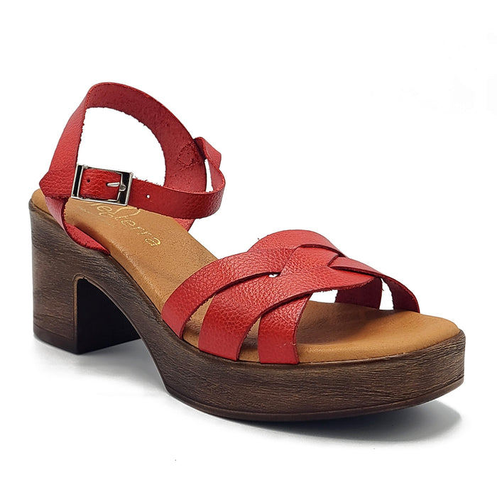 Sole Terra Roz